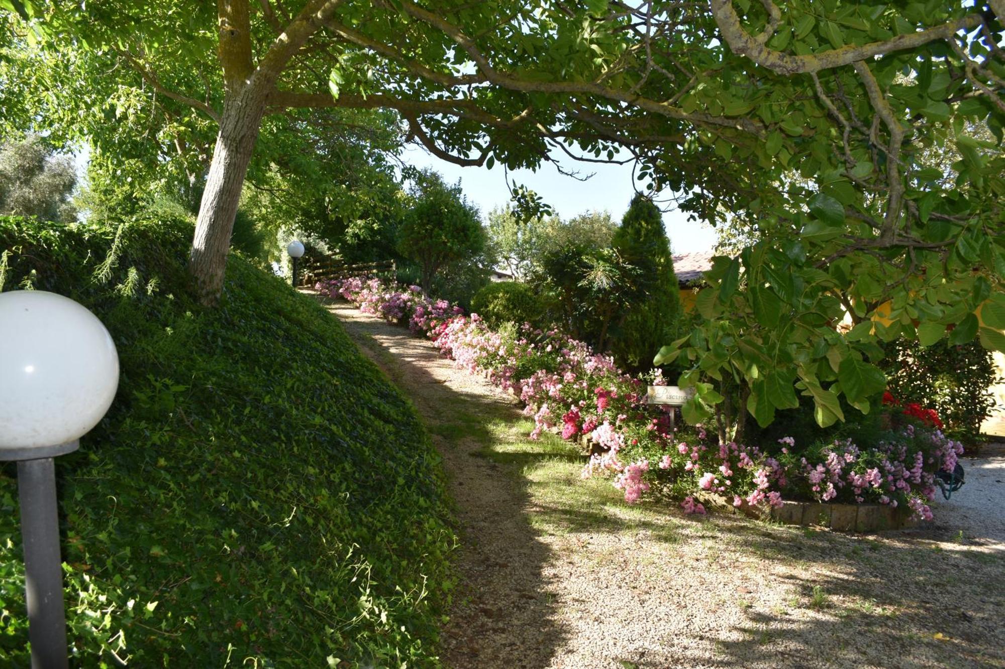 Agriturismo Le Ginestre Villa Capodimonte Exterior foto