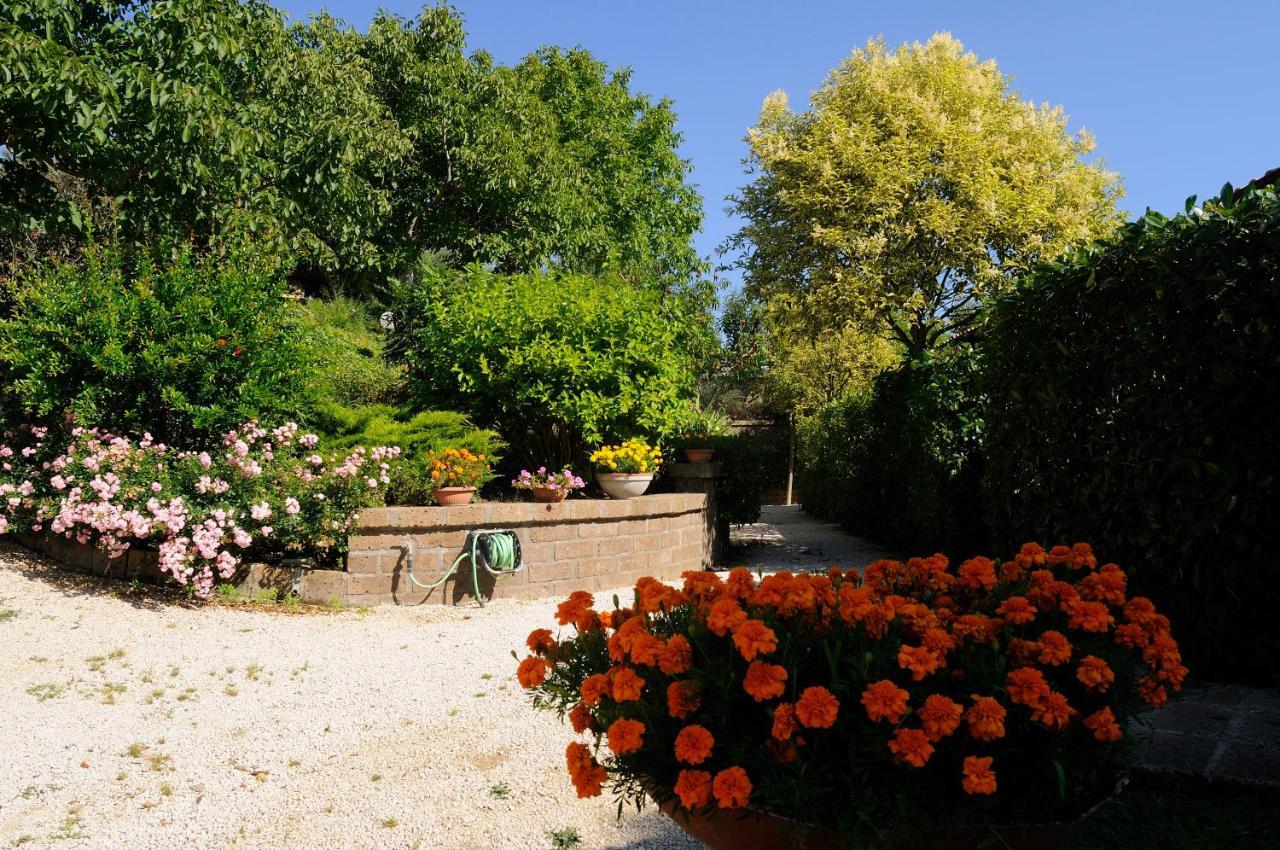 Agriturismo Le Ginestre Villa Capodimonte Exterior foto